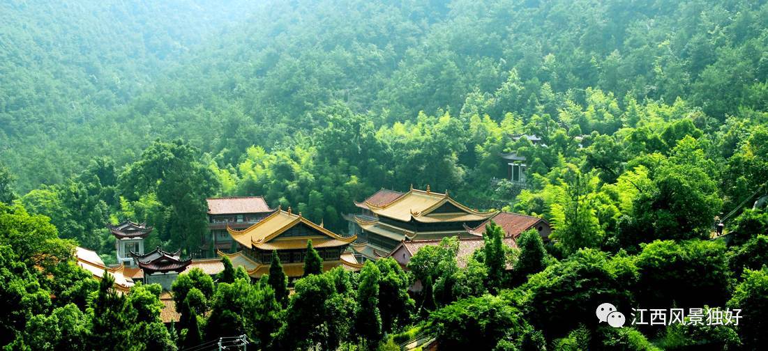 豪门国际pg电子