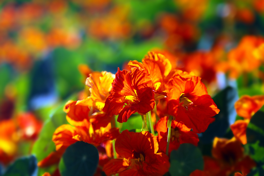 豪门国际注册入口