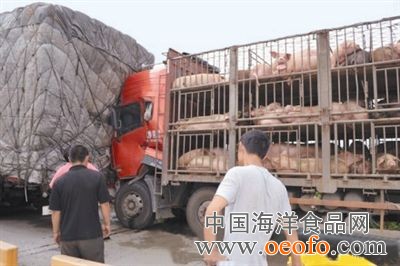 豪门国际注册入口