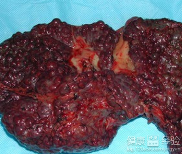 教陇上之才,通九州之路——甘肃林业职业技术学院||交通工程学院【豪门国际官网】(图2) 豪门国际pg电子