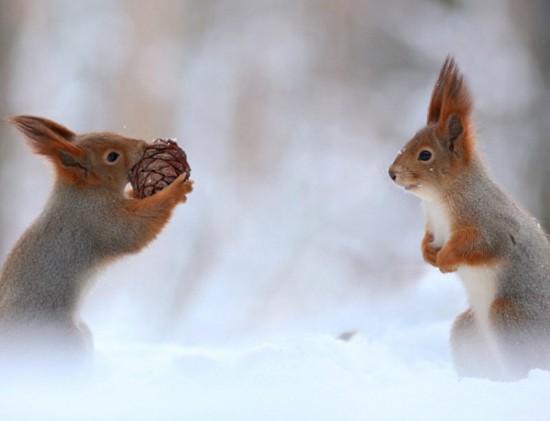豪门国际pg电子