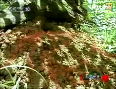 豪门国际注册入口