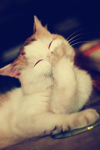 豪门国际pg电子:女性五个生理结构可抵挡炎症入侵(图2) 豪门国际pg电子