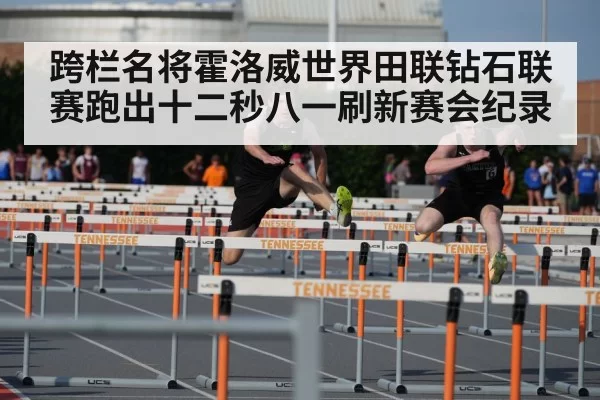 hurdles competition